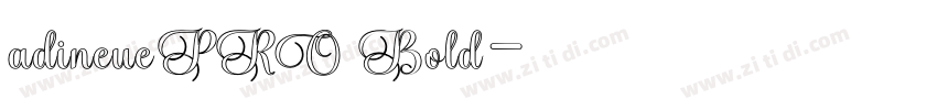 adineuePRO Bold字体转换